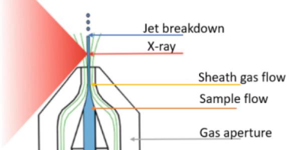 Image of the GDVN schematic