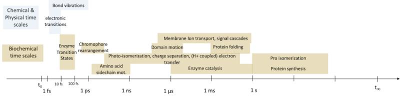 A visualization of the biological motions, the relevant time scales, and the approximate times it takes to freeze different samples. The freezing time can be considered an effective camera shutter speed allowing only the processes to be resolvable.
