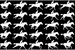 Individual images from Muybridge's the Horse in Motion