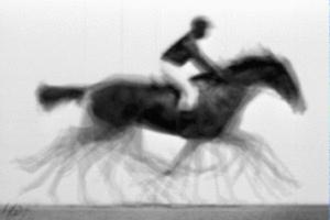 Averaged-out image of The Horse in Motion