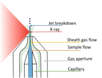 Image of the GDVN schematic