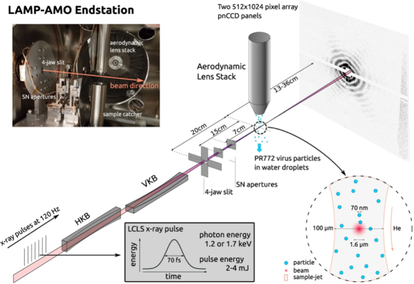 A visualization of the experimental setup at the LCLS for single particle imaging