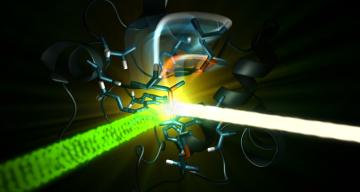 An optical laser (green) exciting the iron-containing active site of the protein cytochrome c, and then an X-ray laser (white) probing the iron a few femtoseconds to picoseconds later