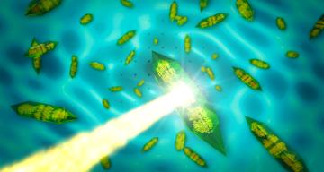 X-rays passing through a crystal to form an intensity pattern on a detector behind the crystal that is dominated by bright spots