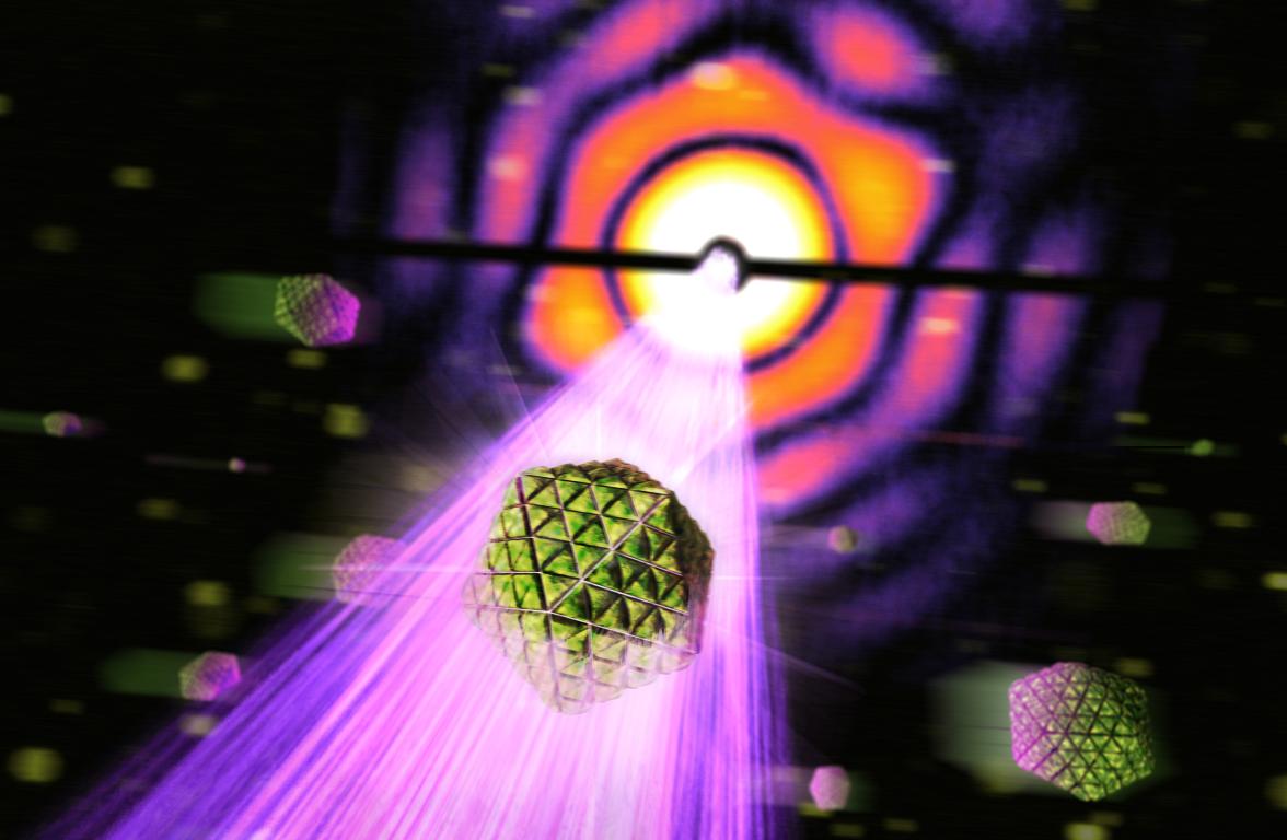 A carboxysome, a 20-sided structure from a bacterial cell, struck by an X-ray pulse at LCLS