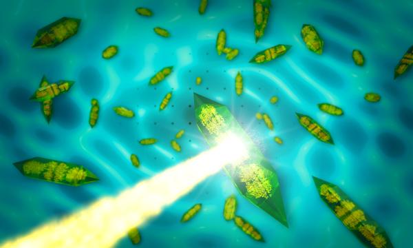 X-rays passing through a crystal to form an intensity pattern on a detector behind the crystal that is dominated by bright spots