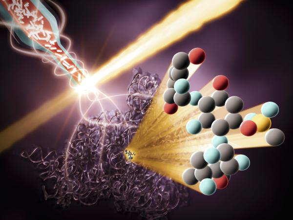 Crystallized ribosomes traveling through a capillary into the interaction region, where they are zapped with a beam of X-rays