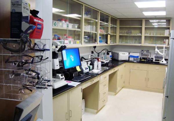 Image of the Far Experimental Hall (FEH) wetland, a small general use lab located in Rm 109 of the FEH servicing the MEC, CXI, MFX, and XCS hutches.